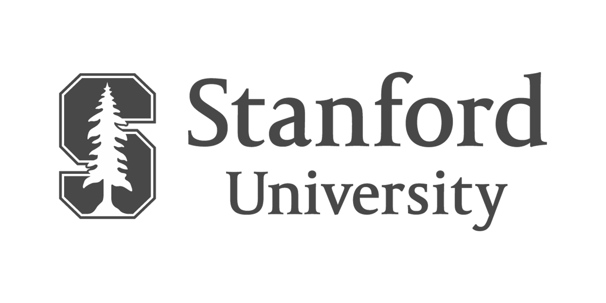 logo - grey - stanford university